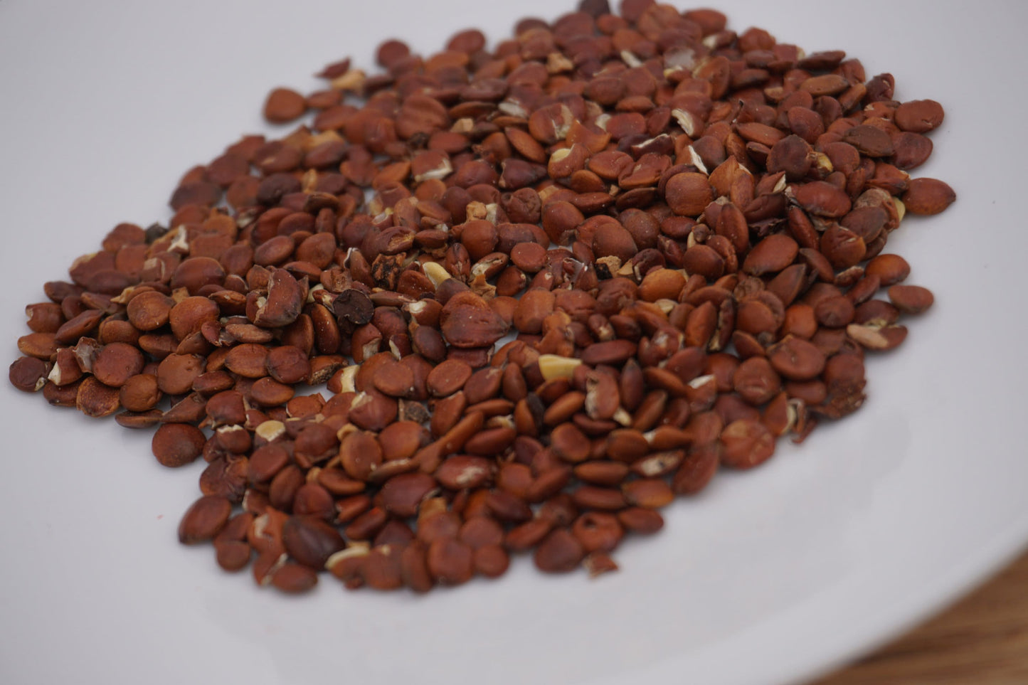 Raw Semen Ziziphi Spinosae Jujube Seed |Suan Zao Ren
