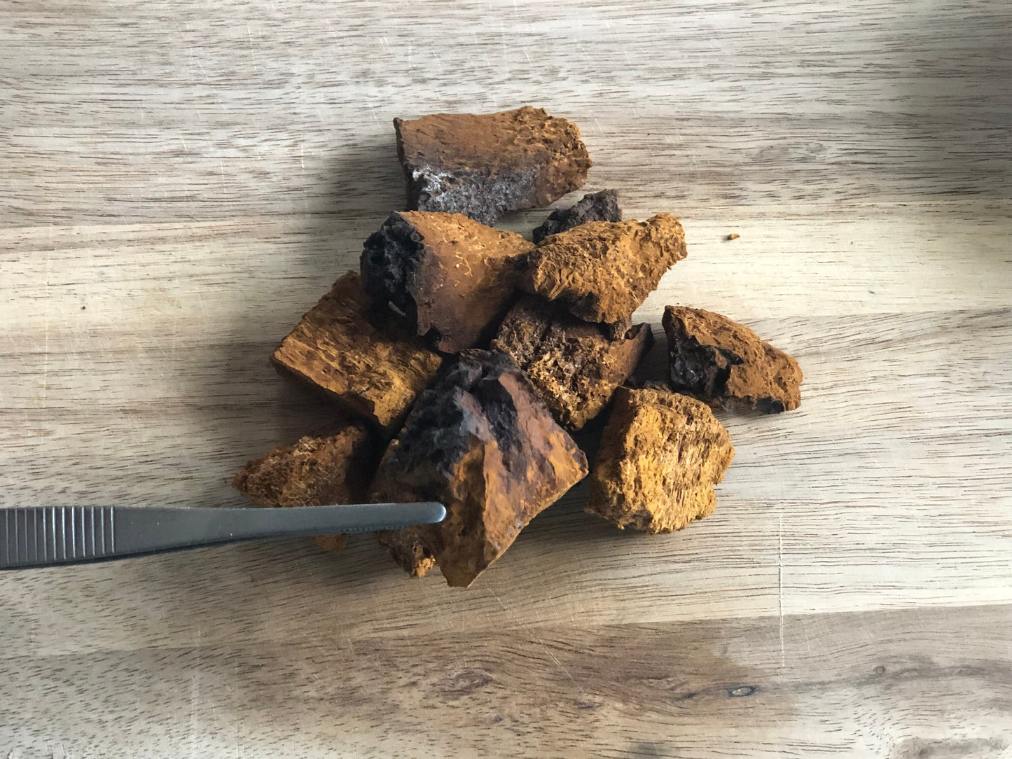 Chaga Mushroom Chunks, Wild Canadian Chaga, Chaga Forage,  100g, 3.52Oz, Inonotus Obliquus, 100% Natural and Wild, Brew Tea, Herbal